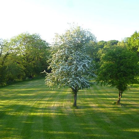 Newmoor Park Hotell Launceston Exteriör bild