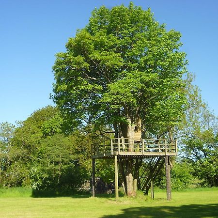 Newmoor Park Hotell Launceston Exteriör bild