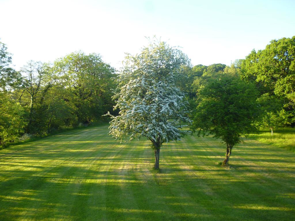 Newmoor Park Hotell Launceston Exteriör bild