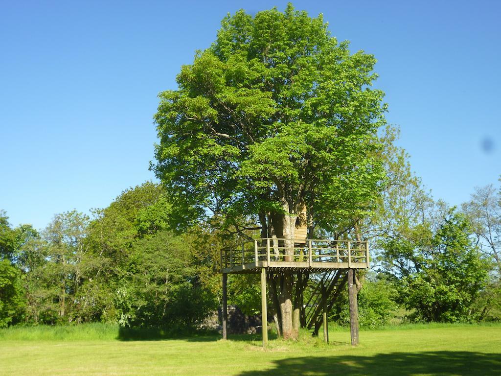 Newmoor Park Hotell Launceston Exteriör bild