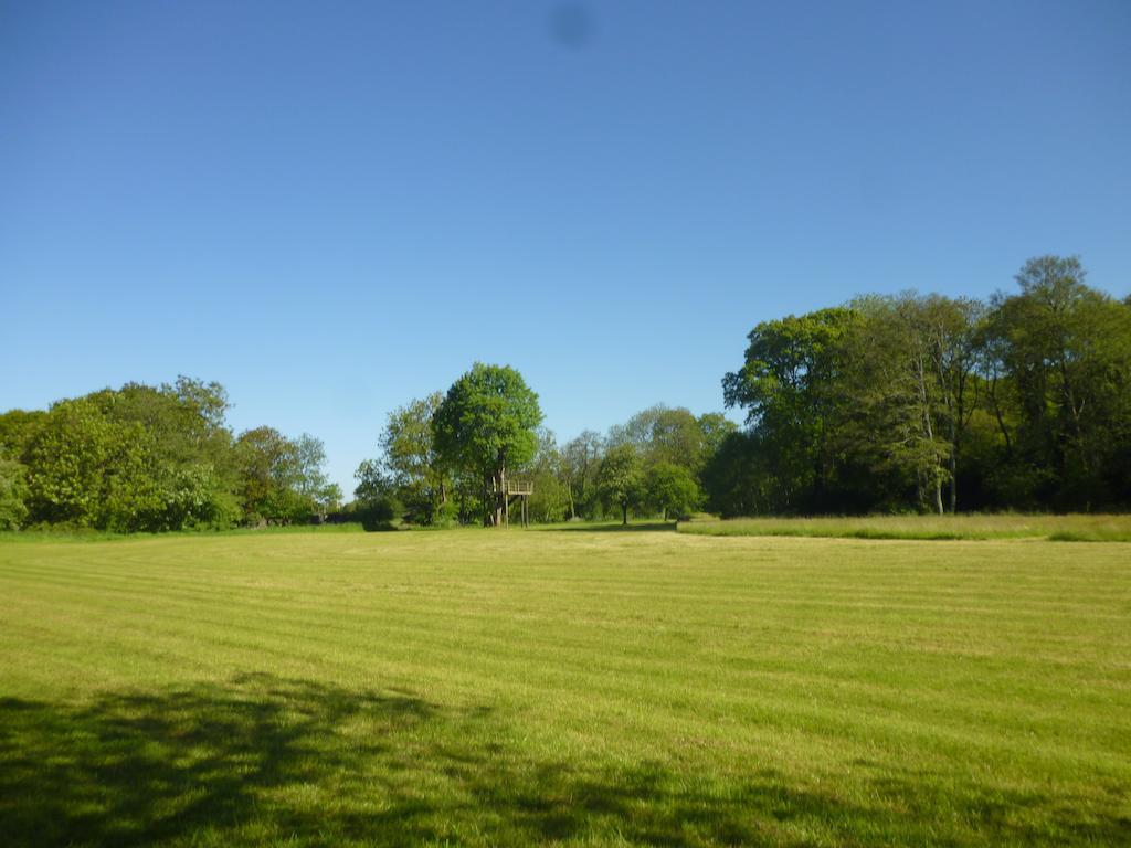 Newmoor Park Hotell Launceston Exteriör bild