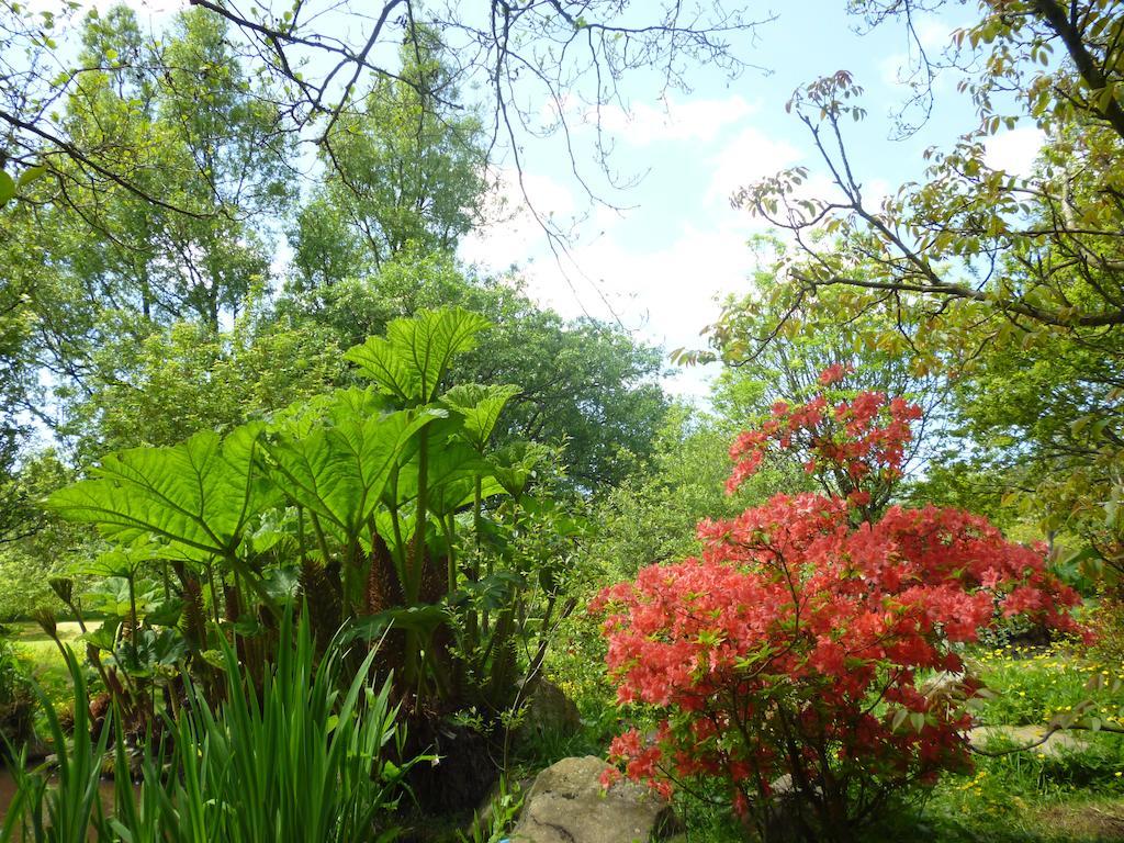 Newmoor Park Hotell Launceston Exteriör bild