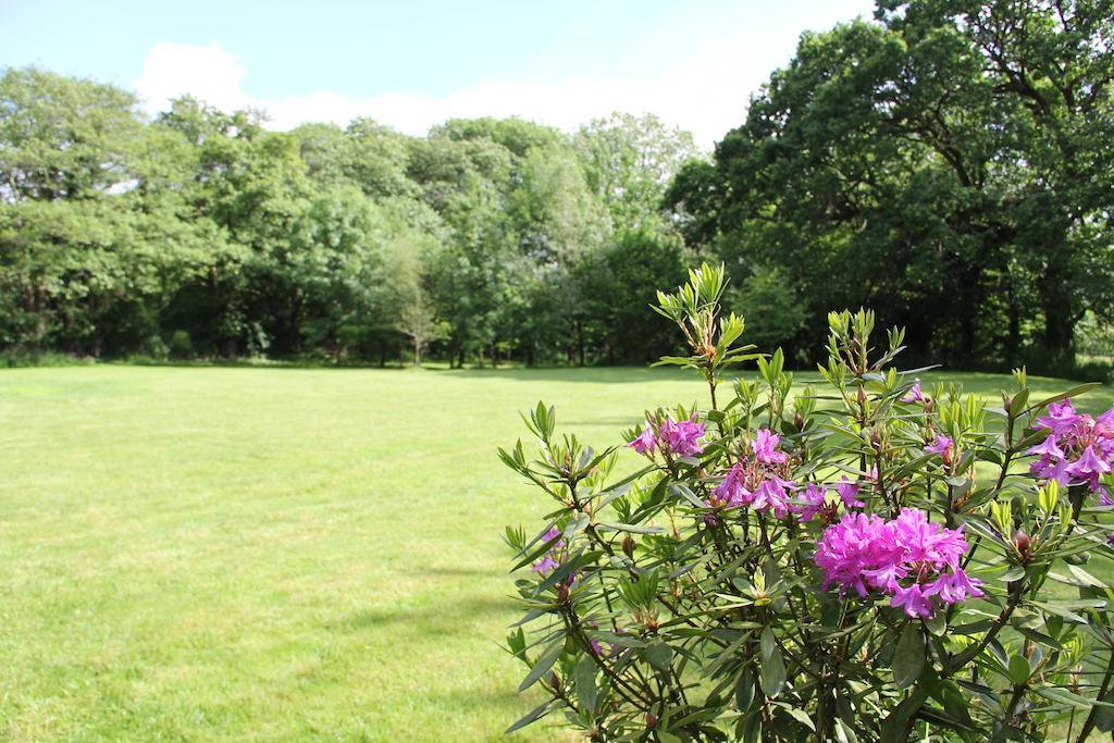 Newmoor Park Hotell Launceston Exteriör bild