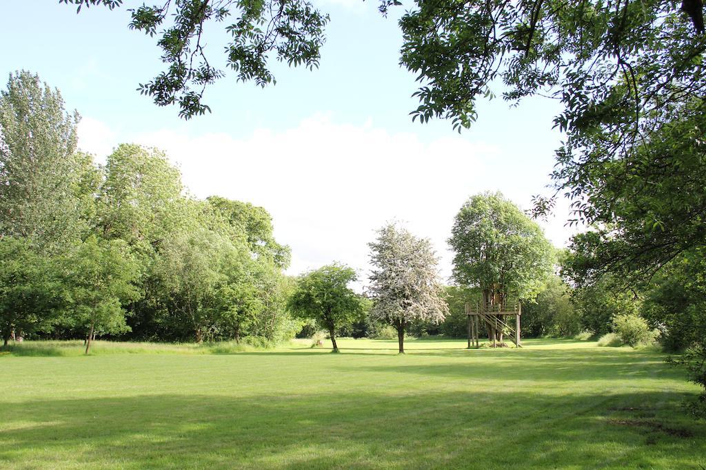 Newmoor Park Hotell Launceston Exteriör bild
