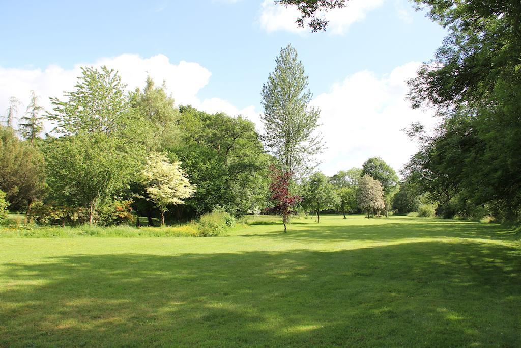 Newmoor Park Hotell Launceston Exteriör bild