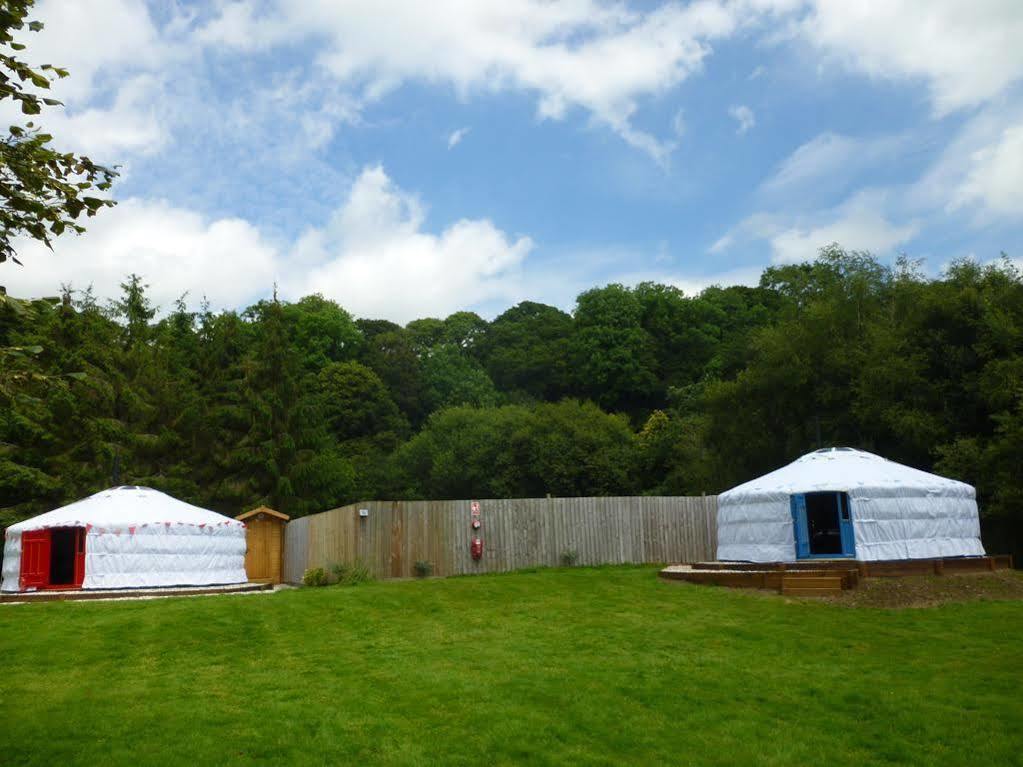 Newmoor Park Hotell Launceston Exteriör bild
